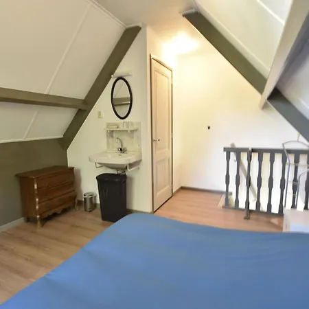 Pet-friendly In *