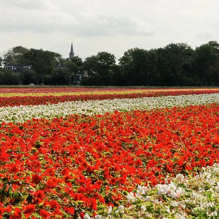 Pet-Friendly Apartment In Sint Maartensbrug *