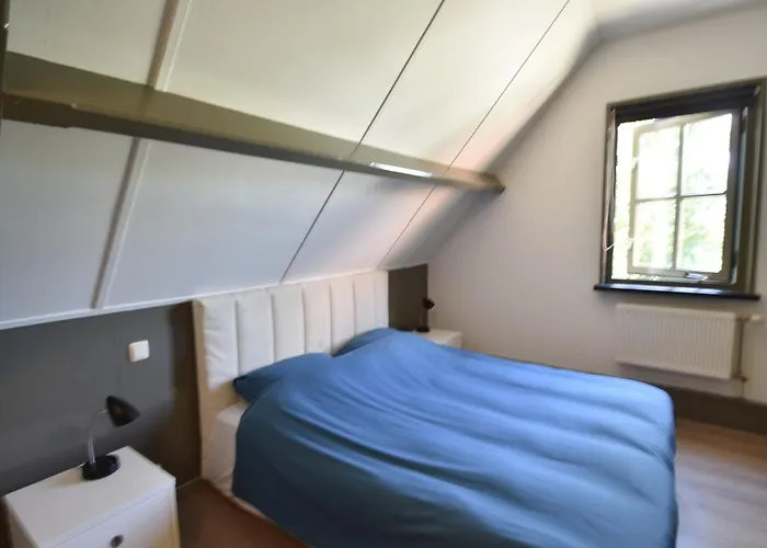 Pet-friendly In 公寓 Sint Maartensbrug