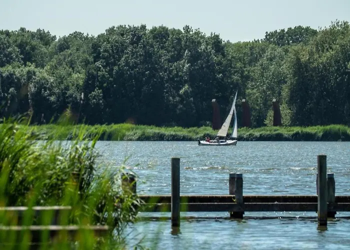 Apartman Pet-friendly In