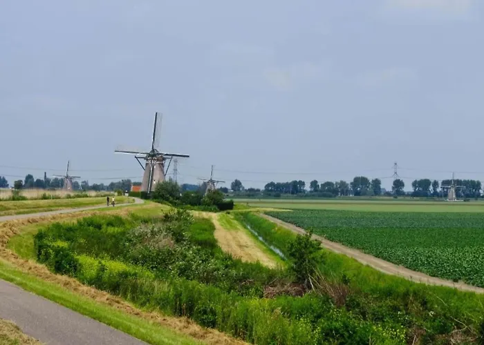 Apartman Pet-friendly In *