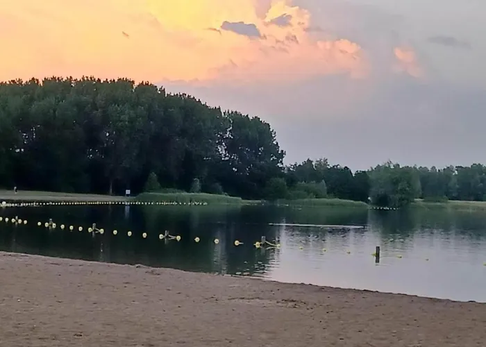 公寓 Pet-friendly In