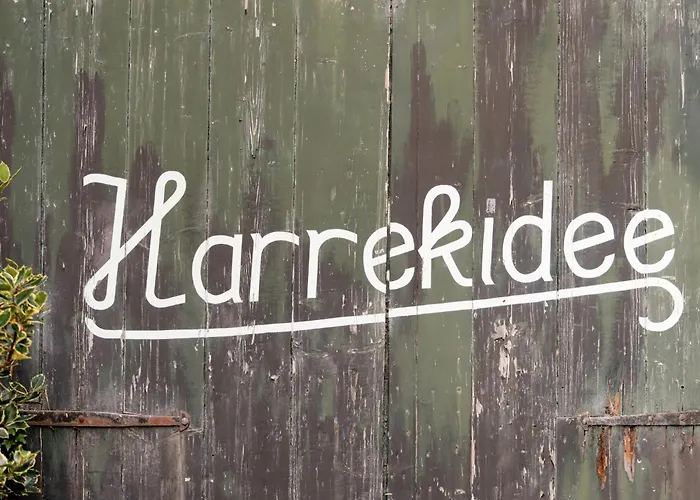 Pet-friendly In Apartman *